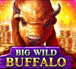 Big Wild Buffalo